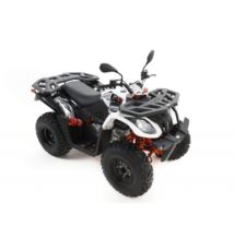 Kayo AU200 quad - ciągnig T3B