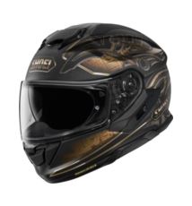 SHOEI GT-Air3 Nile TC-9 L
